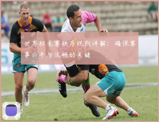 世界杯竞赛秩序规则详解:确保赛事公平与流畅的关键